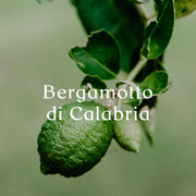 מפיץ ריח מקלות Bergamotto Di Calabria של מותג היוקרה הספרדי CERERIA MOLLA