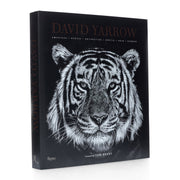 DAVID YARROW ספר