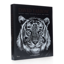 DAVID YARROW ספר